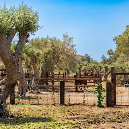 דירה Giove By Wonderful Italy